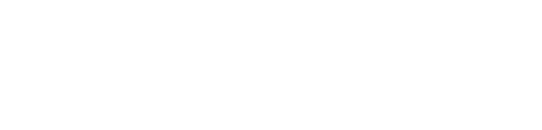 Cops Skilled
